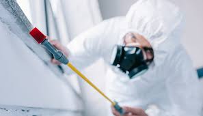 Best Pest Prevention Services  in Whittingham, NJ